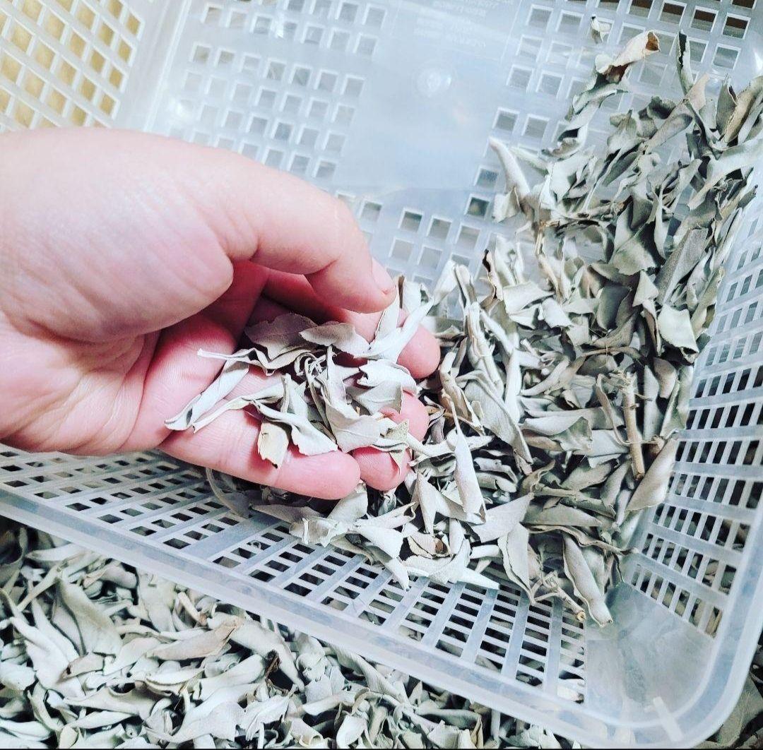 業務用価額タイムセール☆無農薬ホワイトセージ枝無しリーフ1KG浄化お香