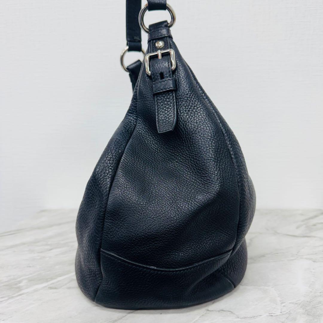 ✨PRADA✨プラダ✨ヴィッテロダイノ✨革タグ✨BR4311✨ショルダーバッグ✨