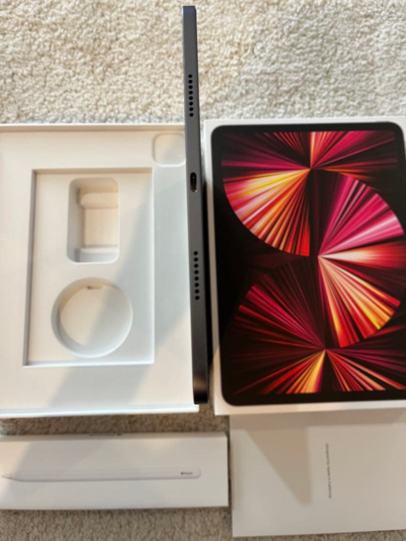 おまけ付【第3世代】iPad Pro 11インチ+Apple pencilケース