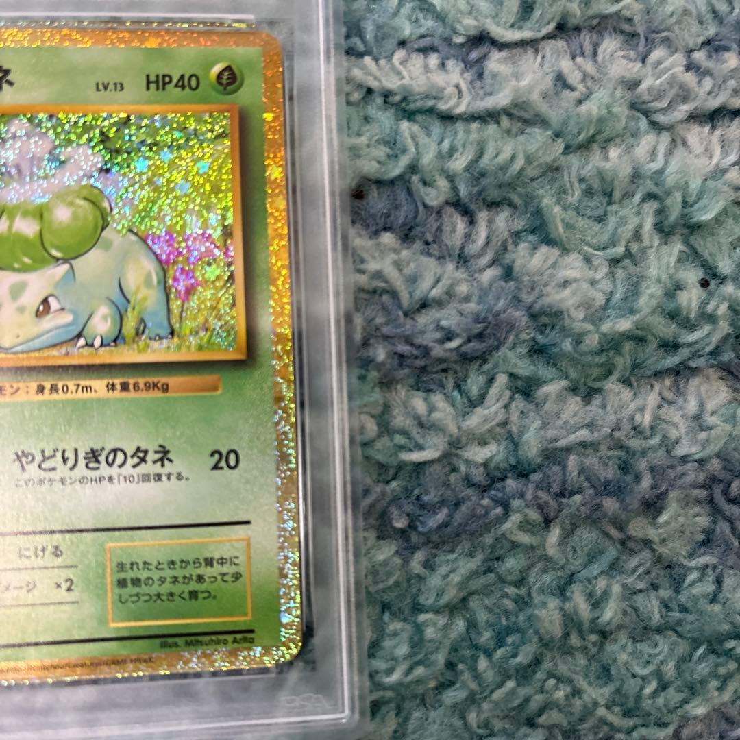 御三家クラシック　PSA10 ヒトカゲ　ゼニガメ　フシギダネ