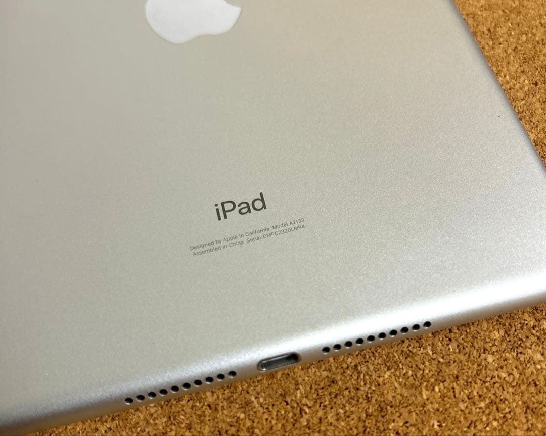 iPad mini5 第5世代 64GB (10) 91%