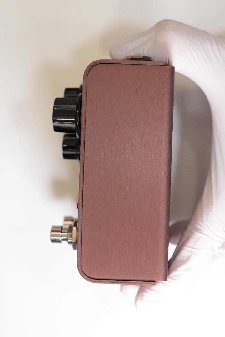 だ*う様 strymon Lex rotary ギターエフェクター