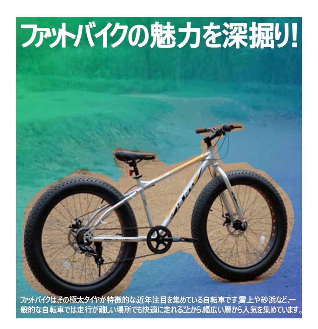 JOYSTAR HILAND 子供用　 20インチ　自転車 7段