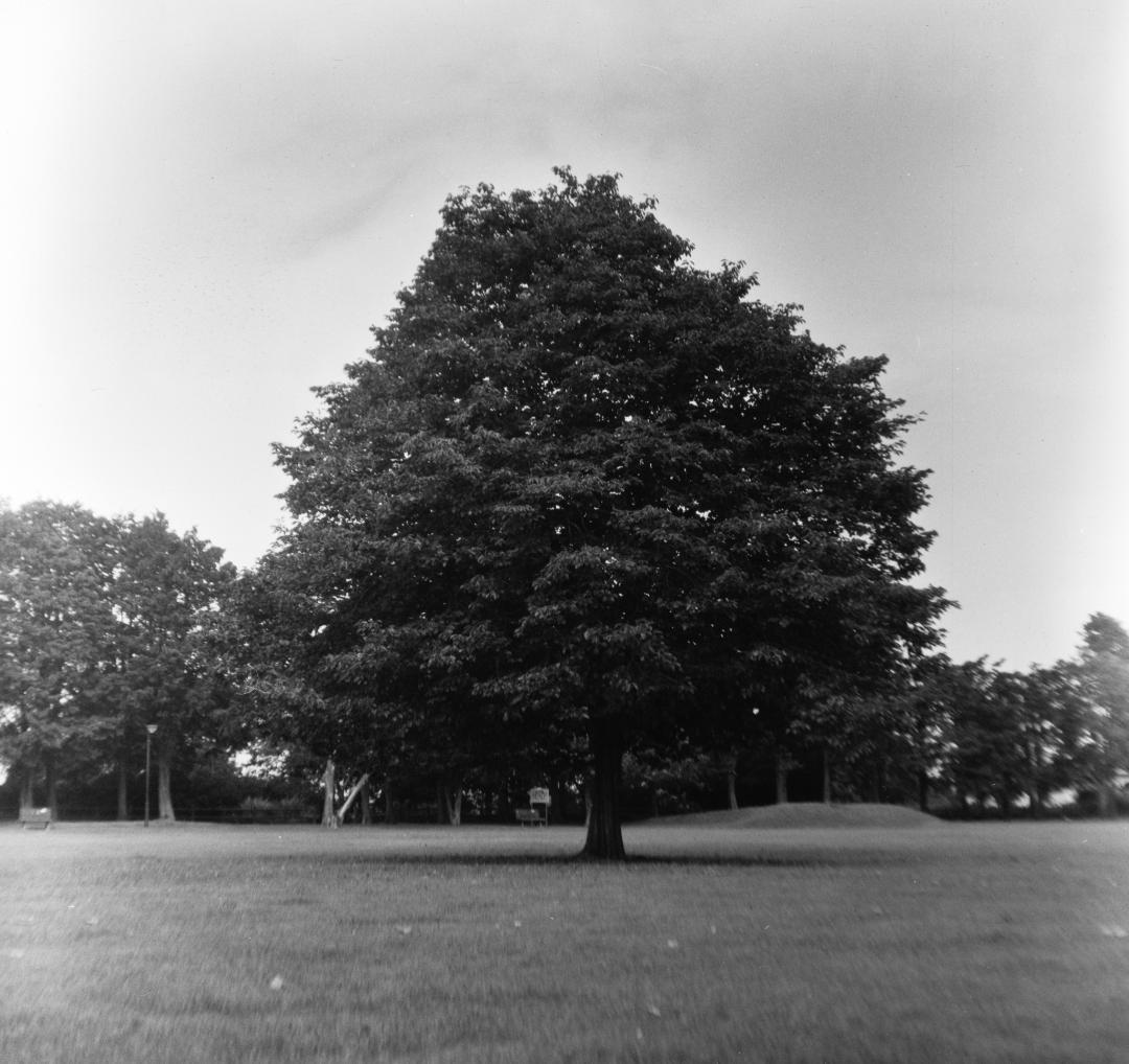 【作例あり】動作品　Minolta Autocord　二眼レフ