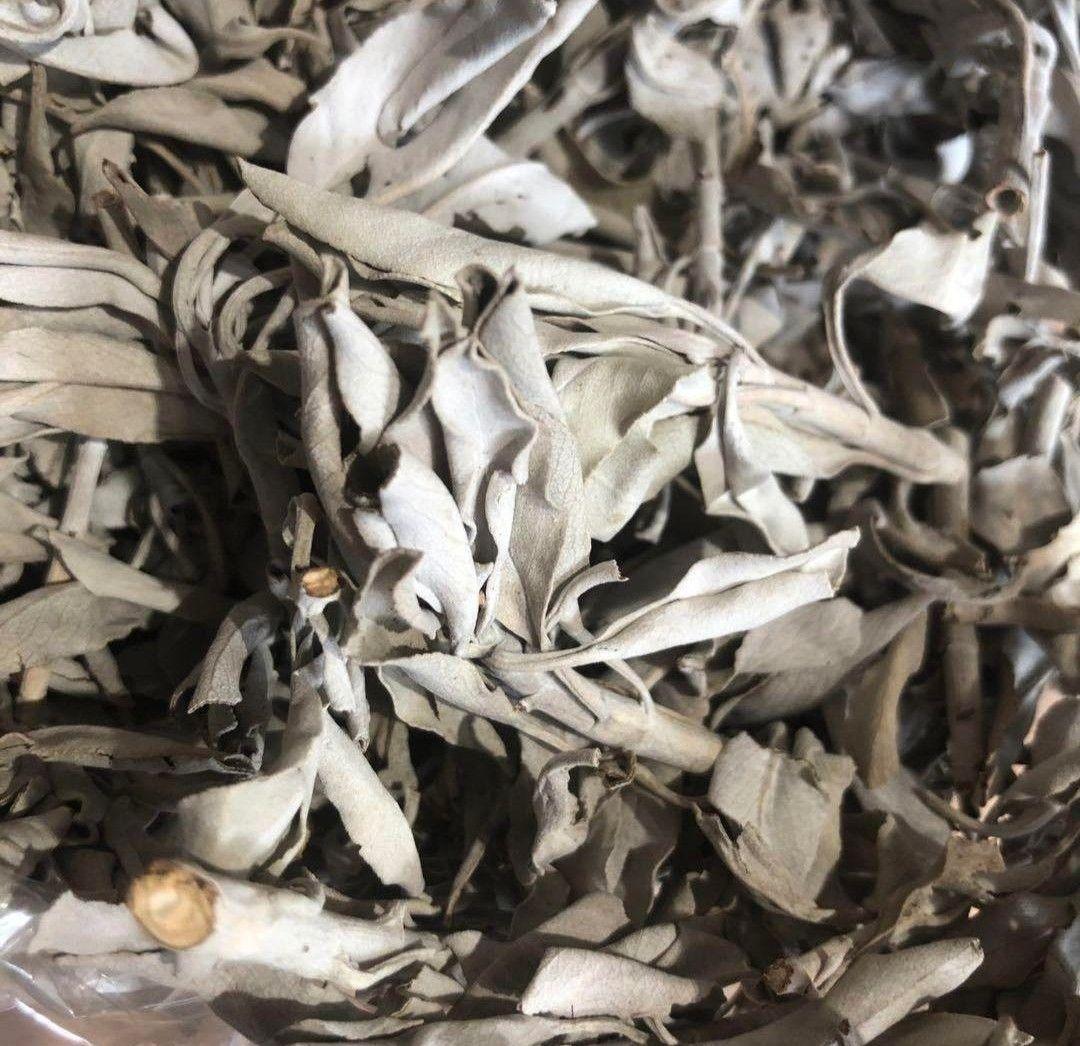 業務用価額☆無農薬ホワイトセージ枝付きクラスター1KGお香浄化☆お得長く使えます