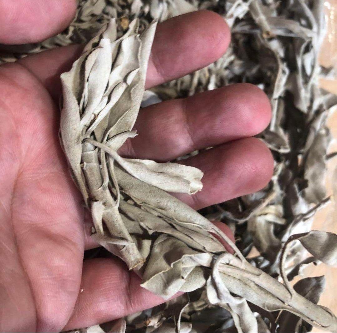 業務用価額☆無農薬ホワイトセージ枝付きクラスター1KGお香浄化☆お得長く使えます