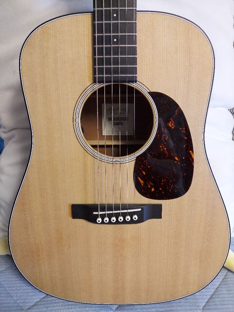 ギター 311 Martin DJR-10E