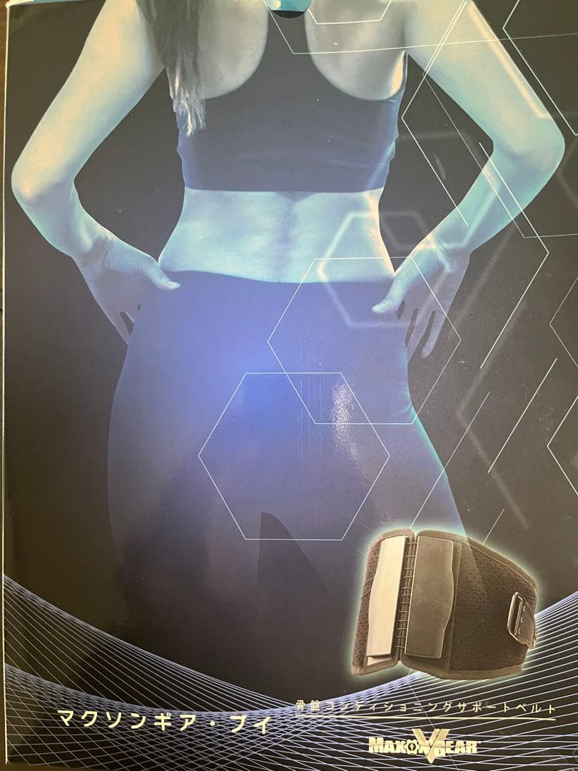 マクソンギア・ブイ