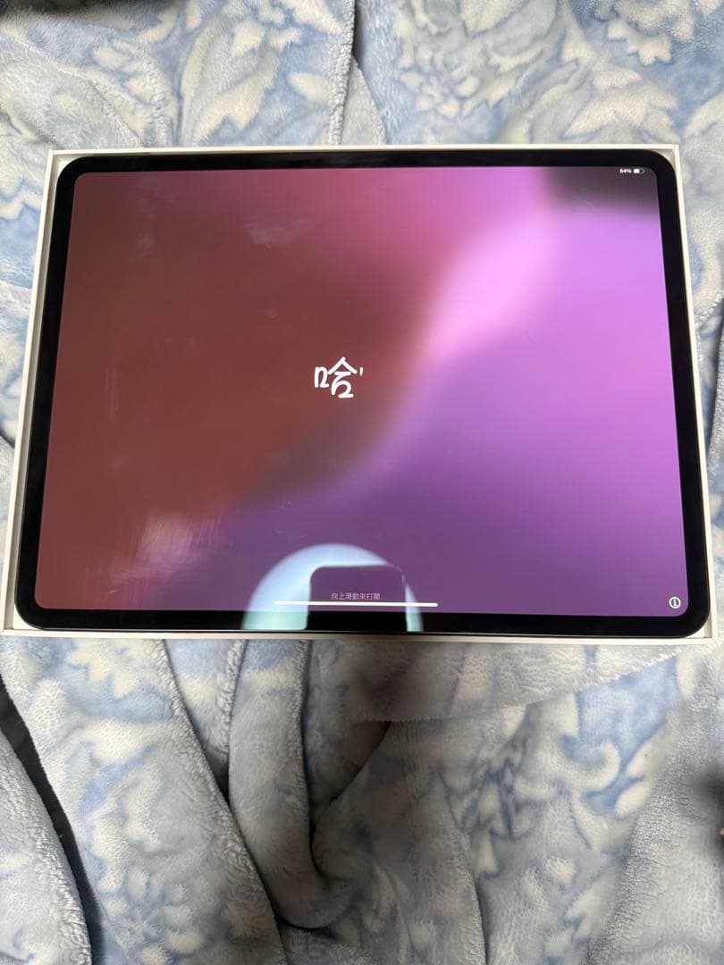 Apple iPad Pro (スペースグレー) Wi-Fiモデル13インチM4