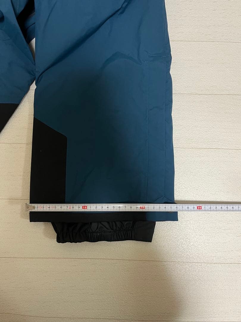 THE NORTH FACE ノースフェイス スノーパンツ フリーラインパンツ