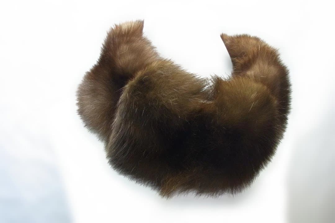 ◆ロシアンセーブルマフラー◆新品◆