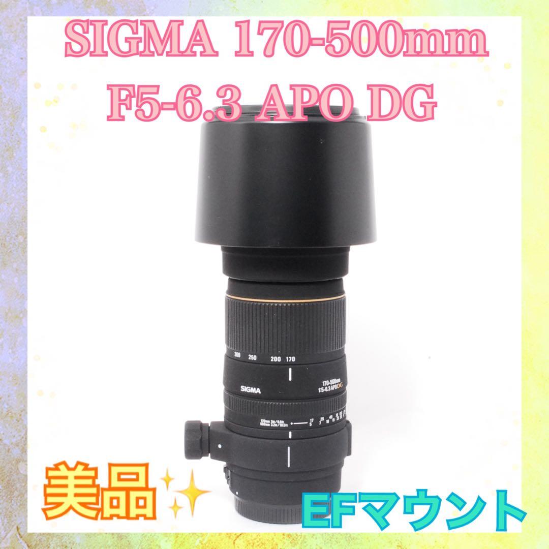 美品❤️SIGMA 170-500mm APO DG fourCanon❤️MFのみ