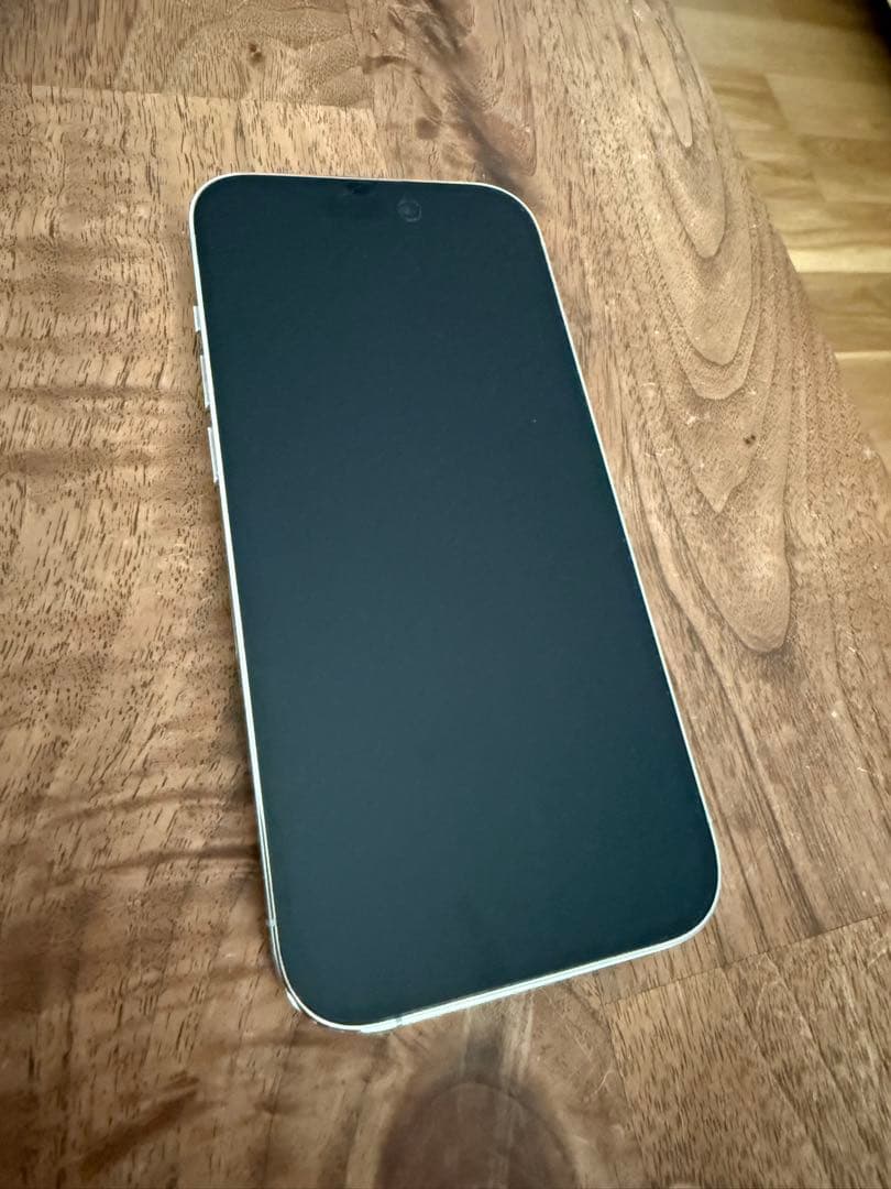 Apple iPhone 14 Pro シルバー　256gb