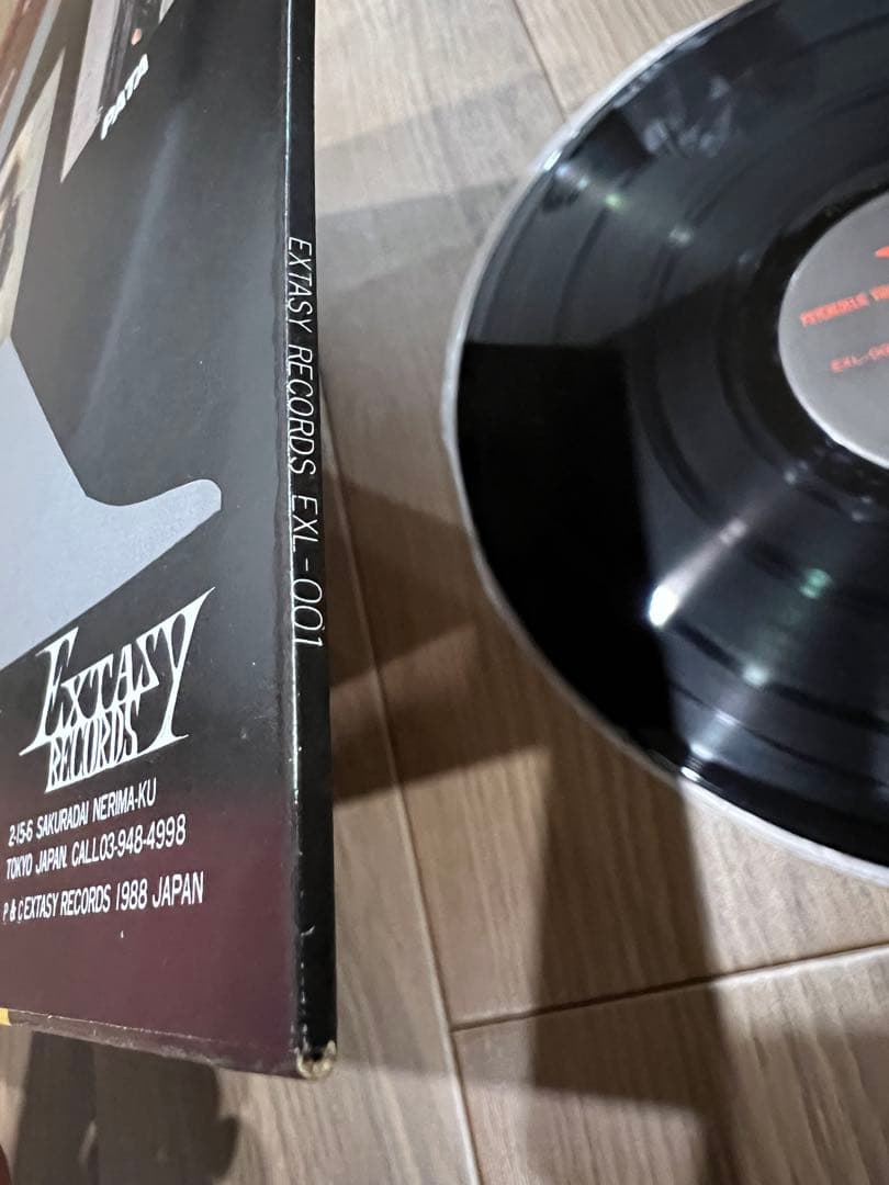 X ／VANISHING VISION⭐︎ソノシート／2点セット⭐︎