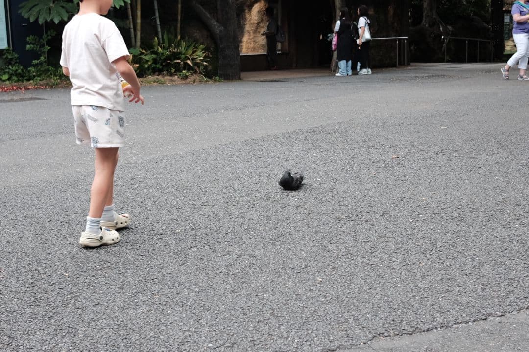 FUJIFILM X70 コンパクトデジタルカメラ