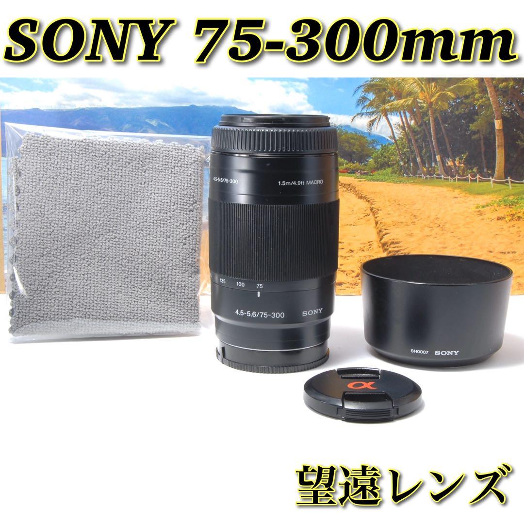 SONY 75-300mm F4.5-5.6 初心者OK 超望遠レンズ
