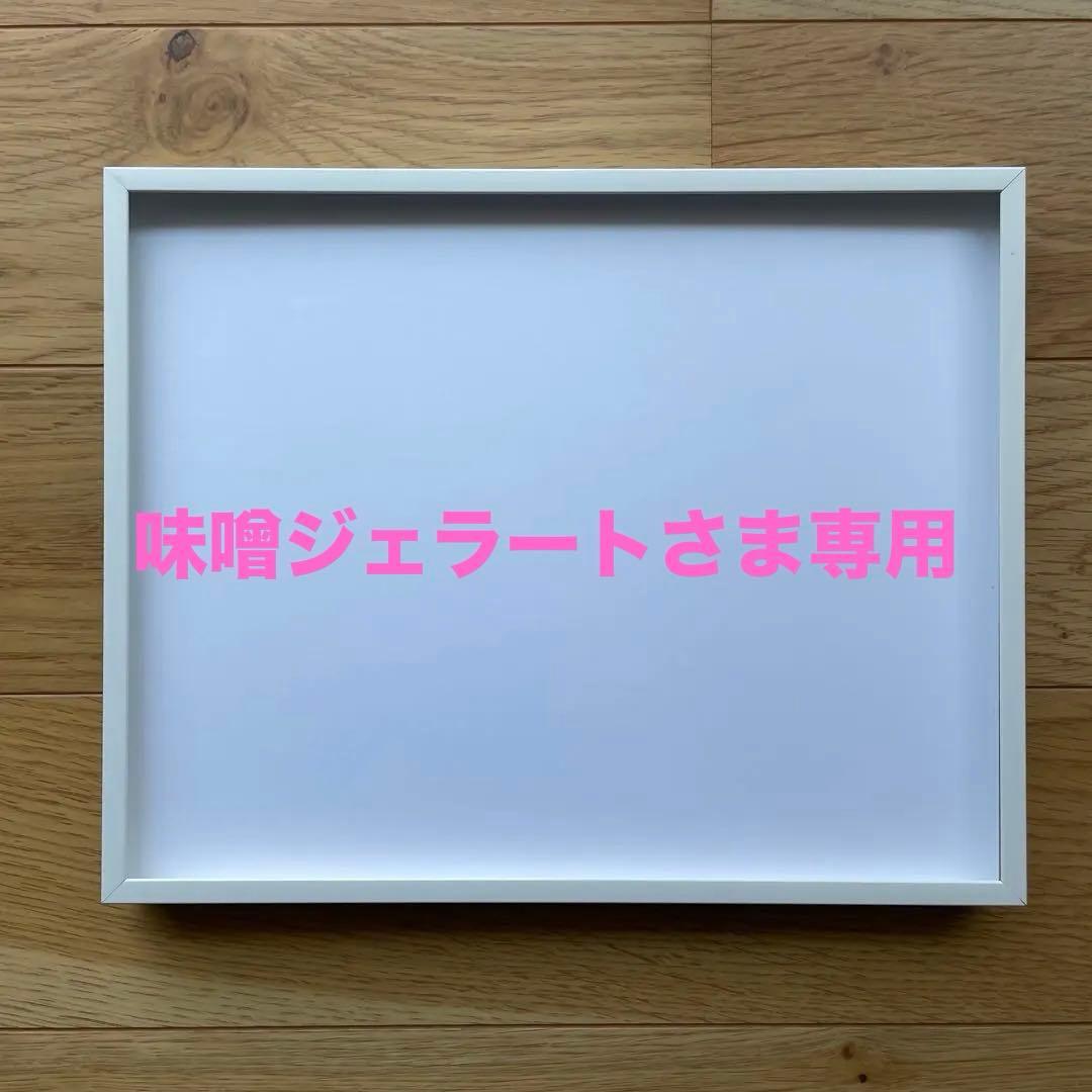 〈まとめ買い45枚セット〉 ニールセン nielsen 8x10インチ 額 白色