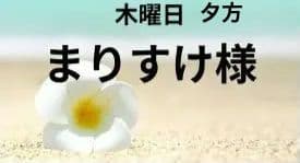 まりすけ様　木曜日夕方