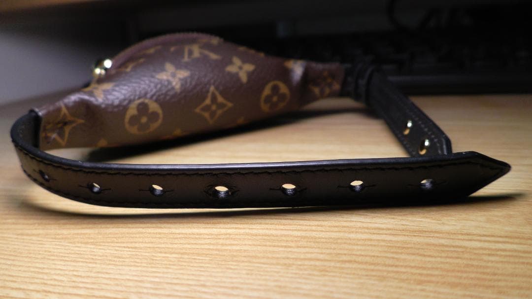 LOUIS VUITTON モノグラム ブラスレパーティーバムバッグ