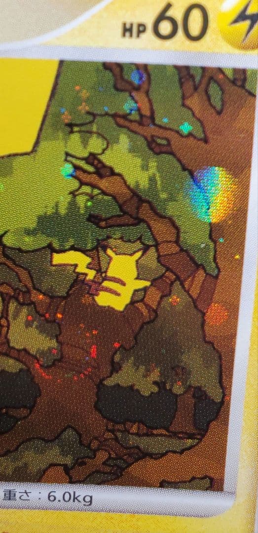 ピカチュウ エレリサイクル プロモ DPプロモーションカード 048/DP-P