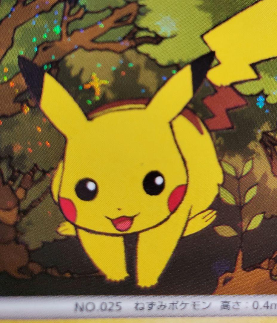 ピカチュウ エレリサイクル プロモ DPプロモーションカード 048/DP-P