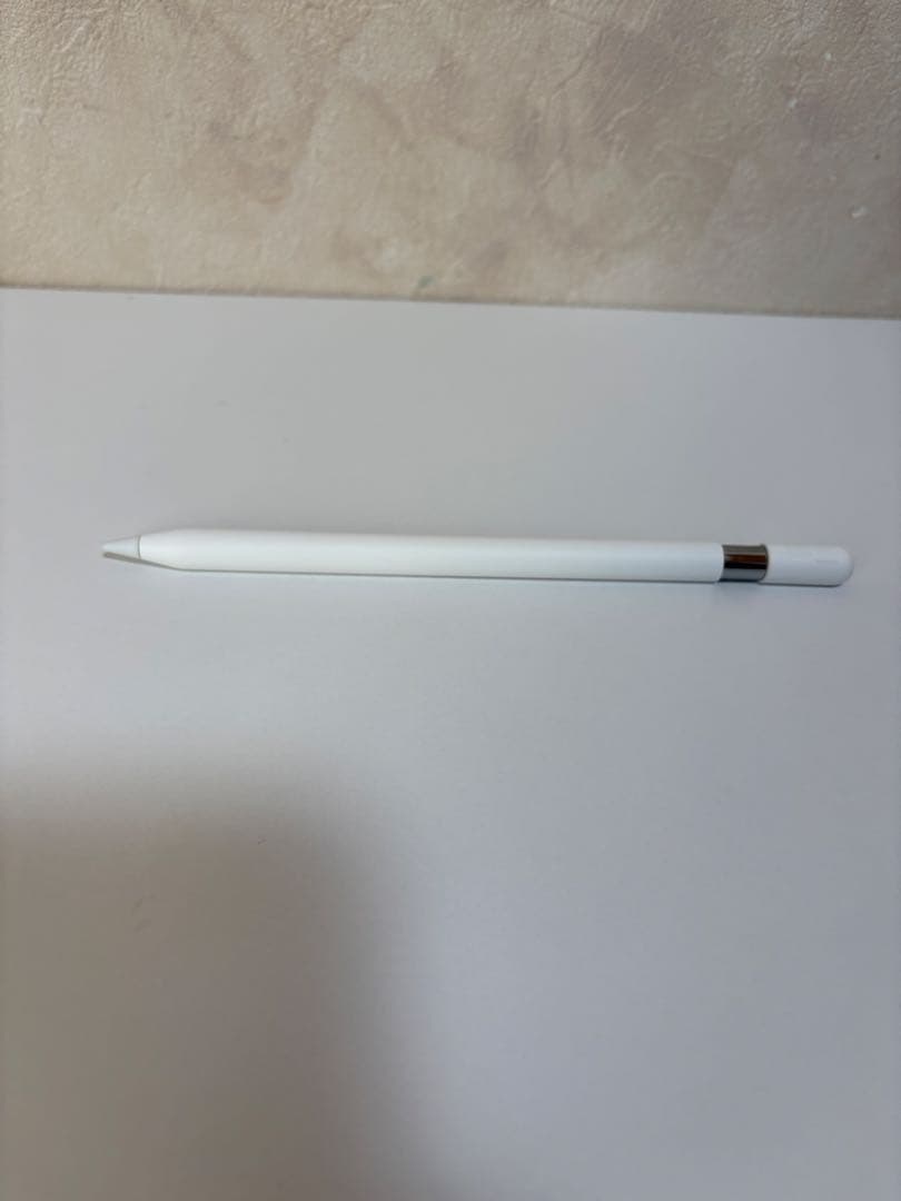 Apple Pencil USB-C 美品