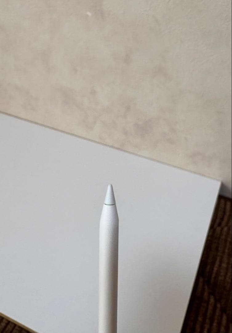 Apple Pencil USB-C 美品