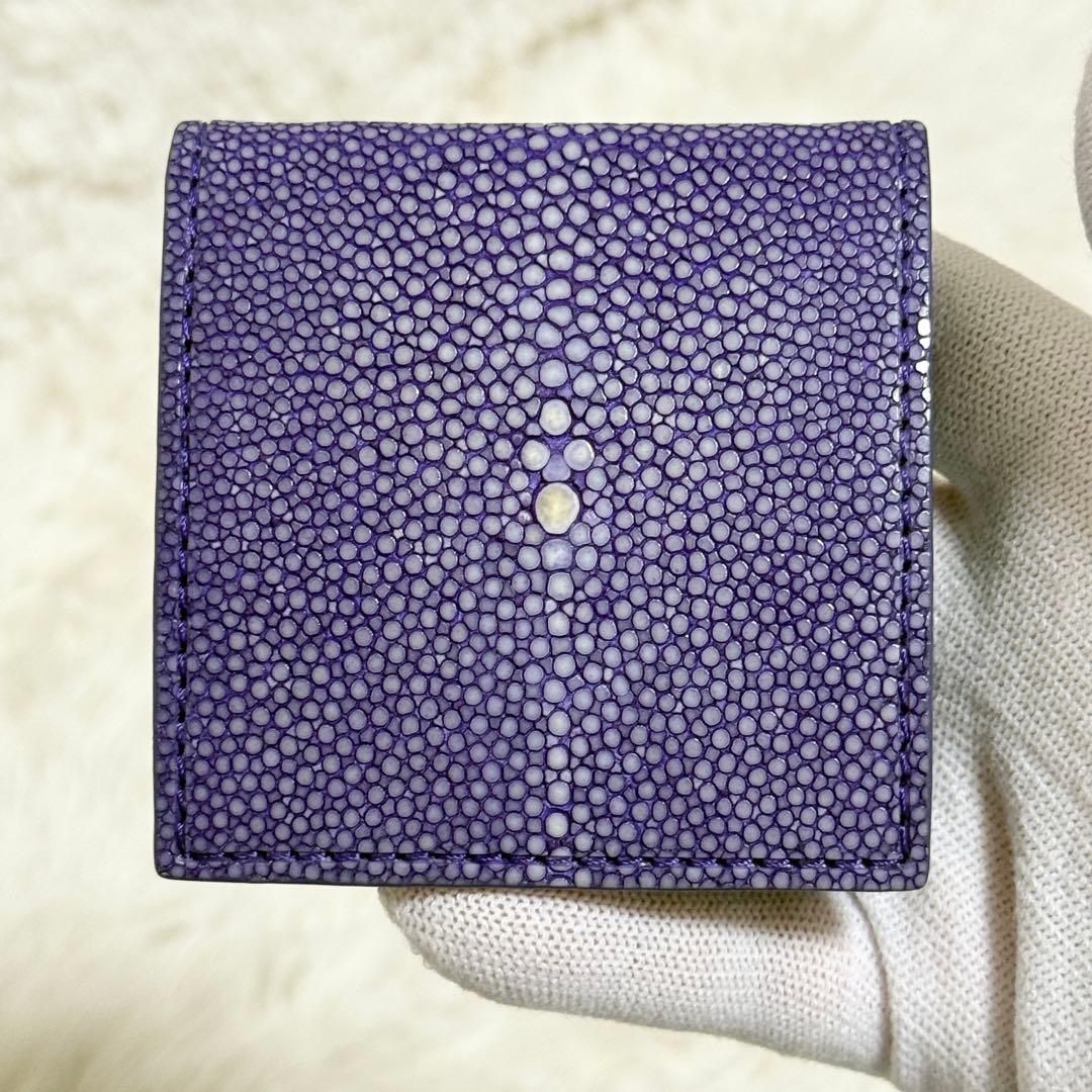 【新品同様】BAHARI ガルーシャ ケース ポリッシュ ライトパープル