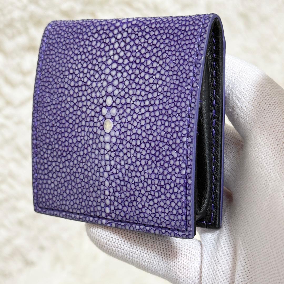 【新品同様】BAHARI ガルーシャ ケース ポリッシュ ライトパープル