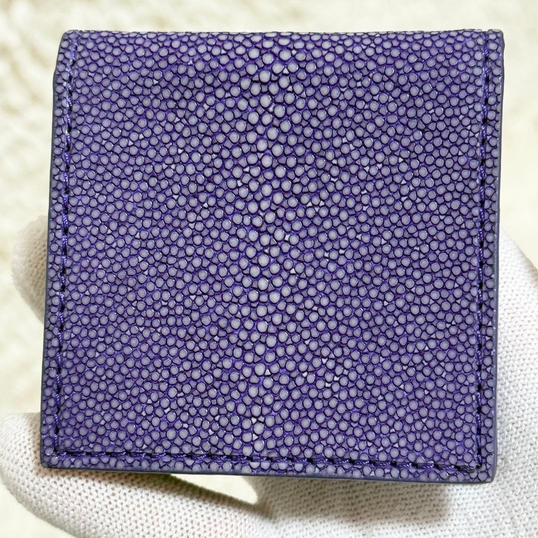 【新品同様】BAHARI ガルーシャ ケース ポリッシュ ライトパープル