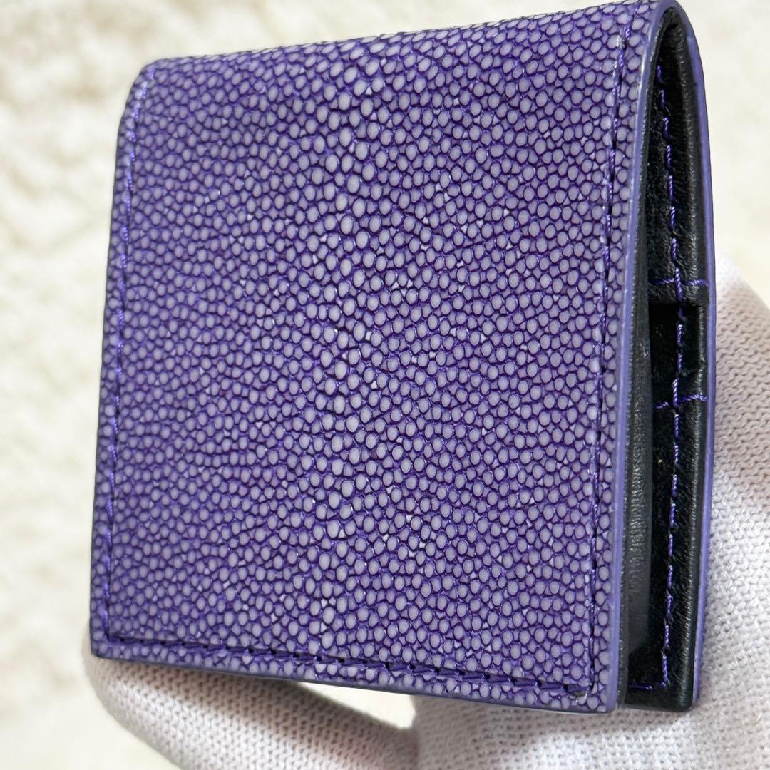 【新品同様】BAHARI ガルーシャ ケース ポリッシュ ライトパープル