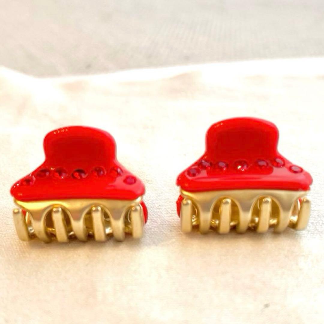 アレクサンドルドゥパリ　クリップ　マイクロ　xs ヘアクリップ　2個セット