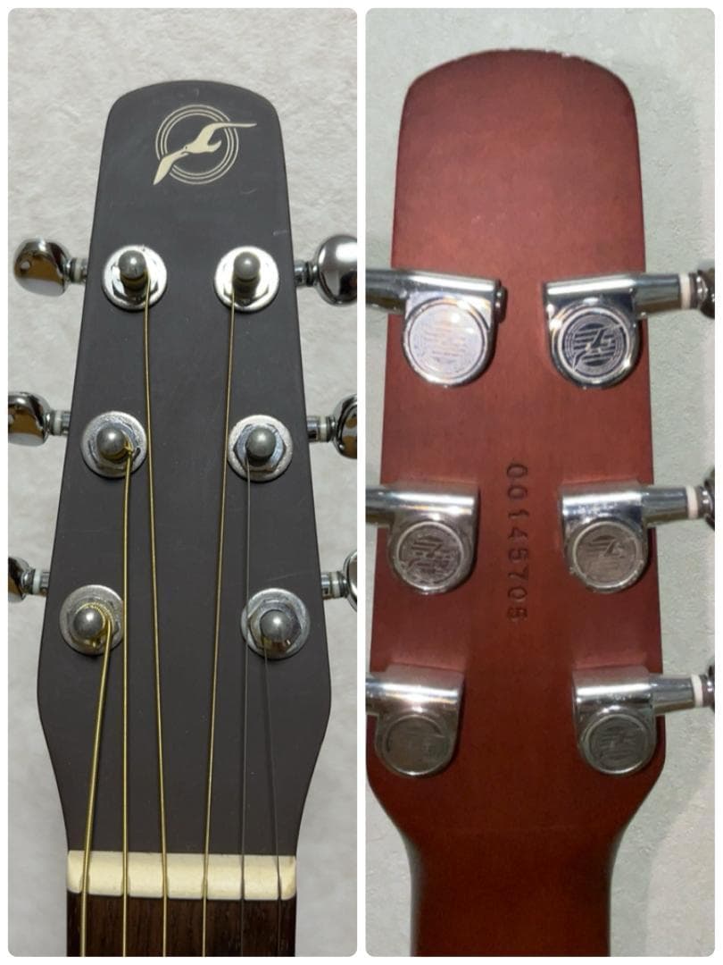 シーガル SEAGULL S6+FORK