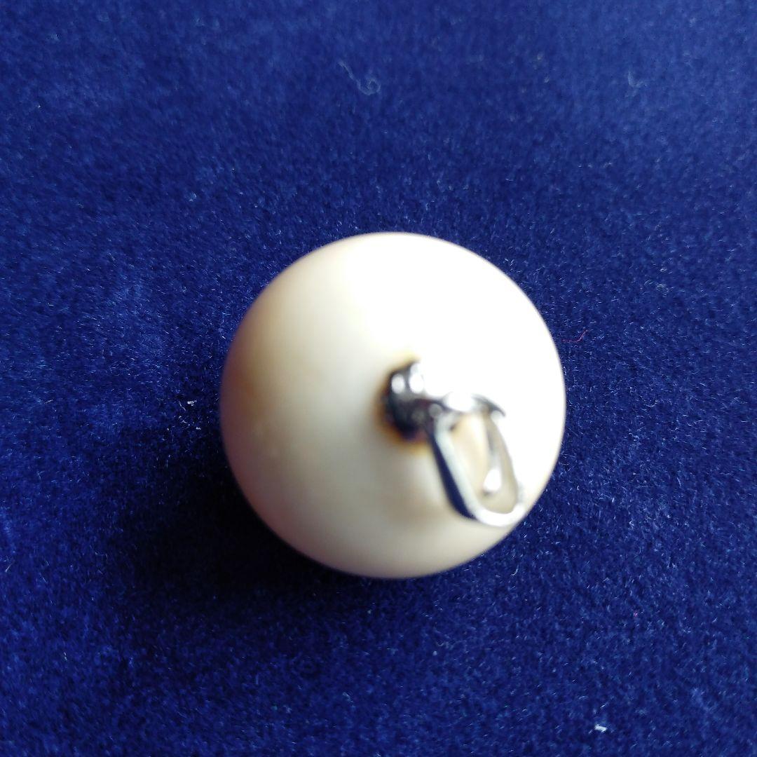 鯨歯　マッコウクジラ　牙玉　特大約20.5㎜
