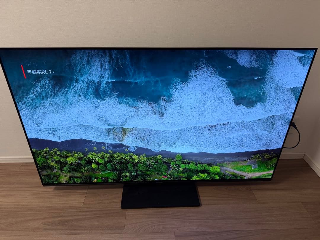 2023年製55インチ パナソニック4K有機ELテレビ VIERA