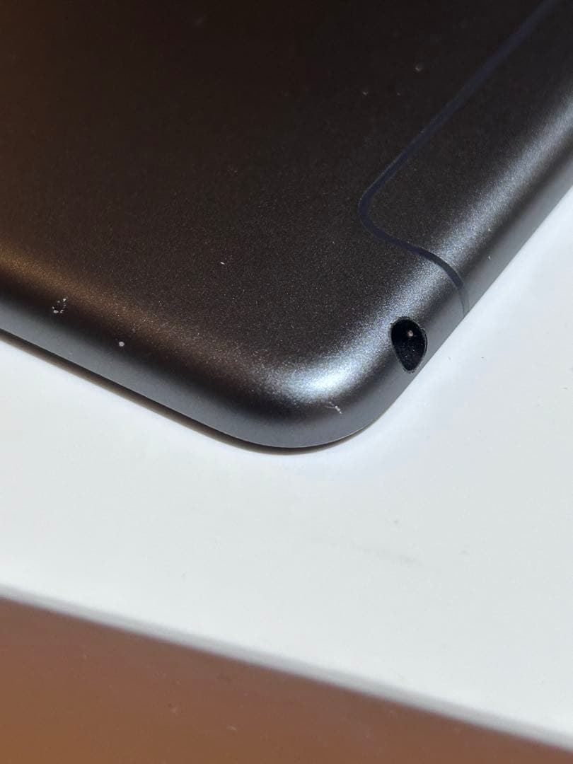 iPad本体 iPad mini 5 64GB Wifi+Cellular