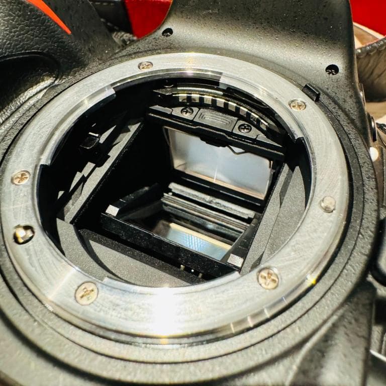 Nikon ニコンD7200 ボディ 純正充電器ほか シャッター回数894回