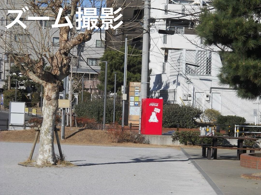 実写美⭕️【動作確認済】Nikon COOLPIX L21 デジカメ　ニコン