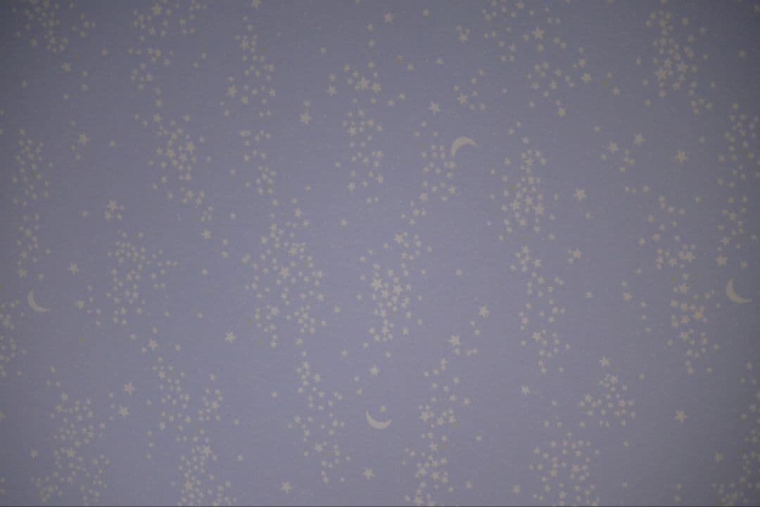 レンズ(ズーム) LUMIX G 45-200mm f4-5.6 H-FS045200