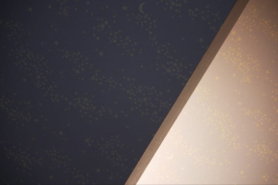 レンズ(ズーム) LUMIX G 45-200mm f4-5.6 H-FS045200