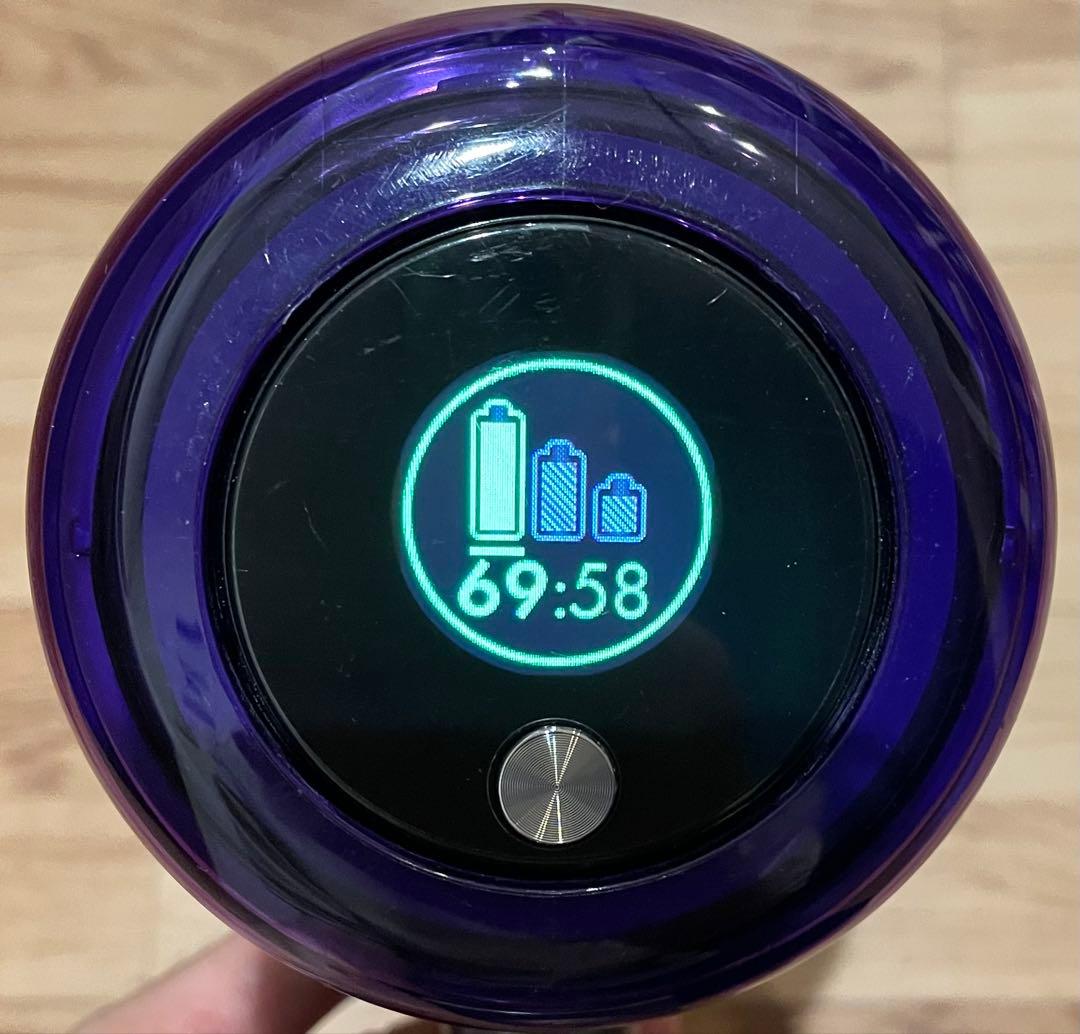 Dyson SV14 V11本体 動作品（クリアビンなし）