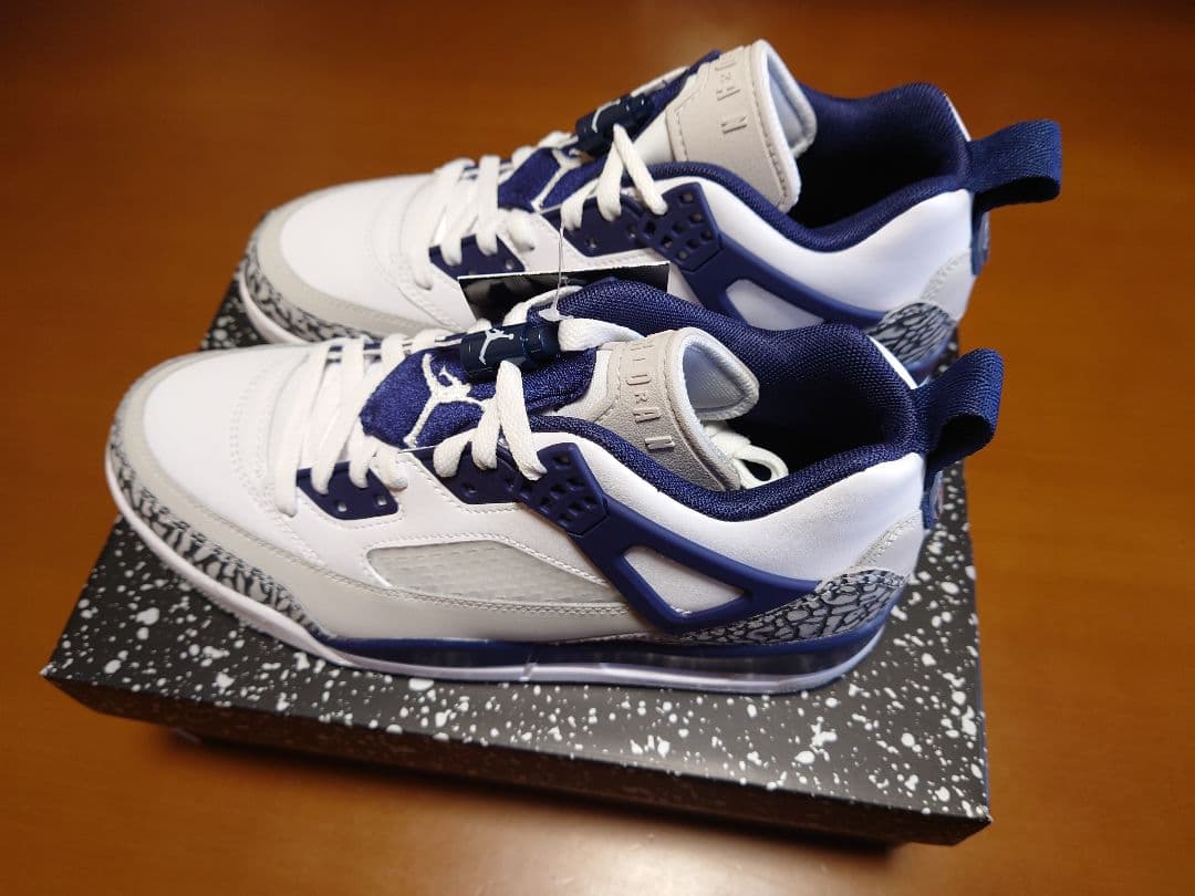 NIKE JORDAN SPIZIKE LOW ジョーダン スパイジーク25.5