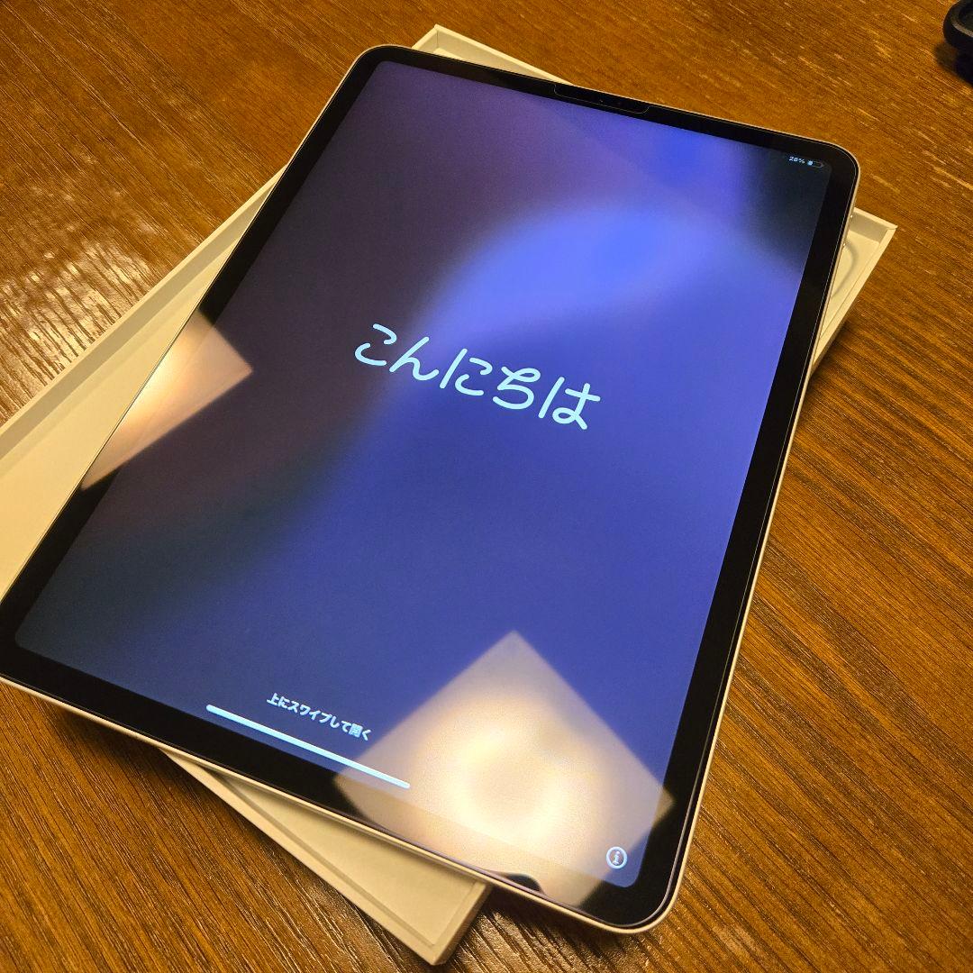 iPad Pro 第2世代 11インチ256GB Wi-Fi アップルペンシル付