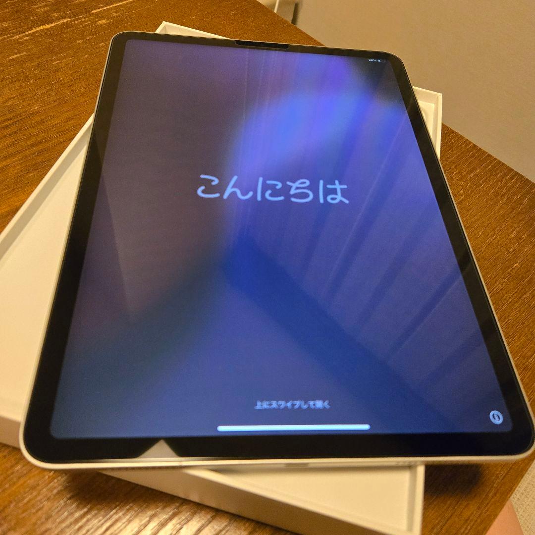 iPad Pro 第2世代 11インチ256GB Wi-Fi アップルペンシル付