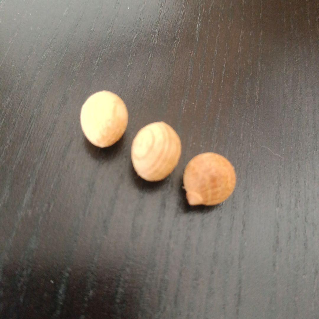 三浦木地　森のさえずり