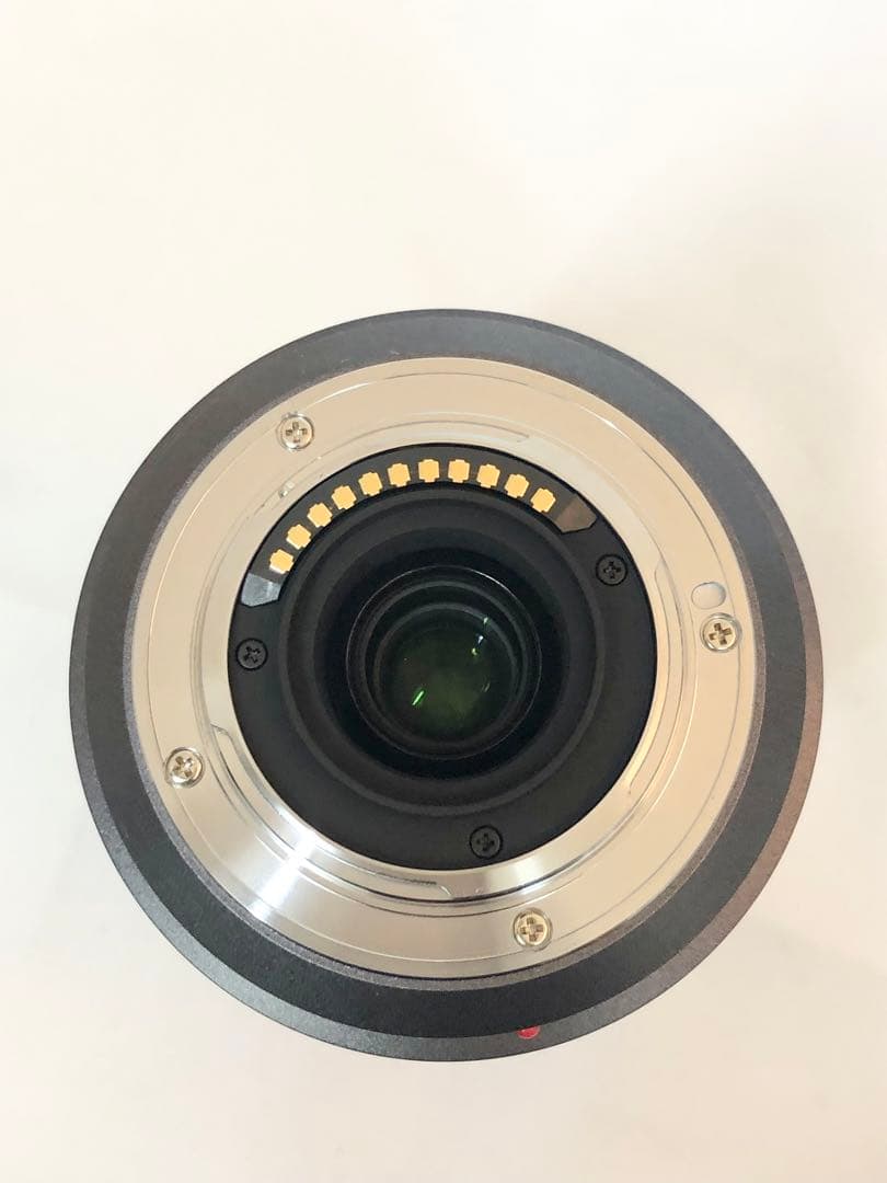 レンズ(ズーム) Panasonic LUMIX G VARIO 45-200mm