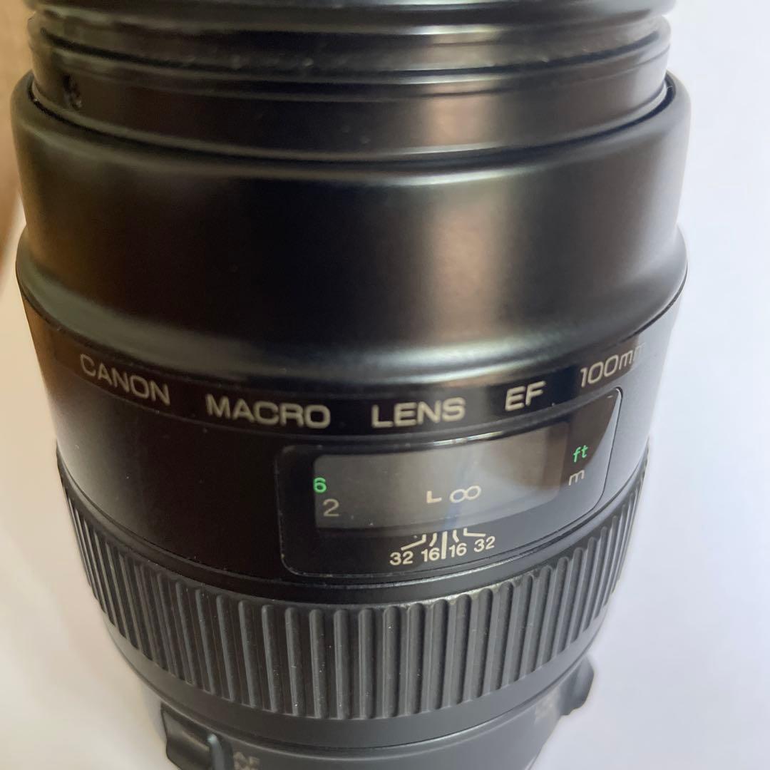 Canon EF 100mm マクロレンズ