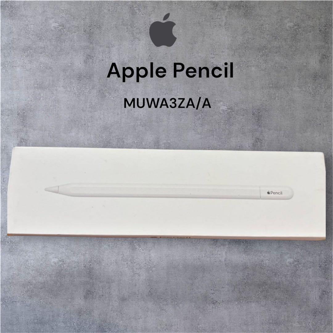 『未使用』Apple Pencil USB-Cタイプ