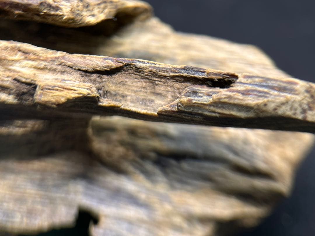 お香 天然沈香 六国五味聞香用 伽羅 香木 1-S-52g 新年特別出品