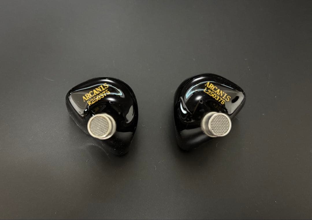 イヤホン ZiiGaat ARCANIS 3.5mm